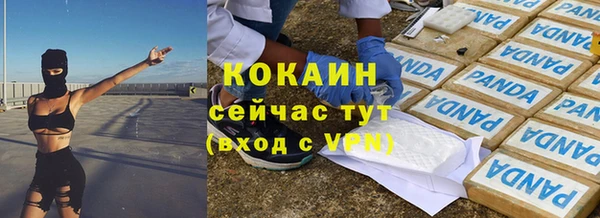 гашик Алзамай