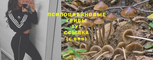 эйфоретик Алексеевка