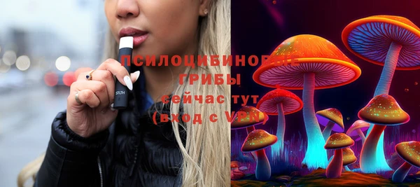 индика Абинск