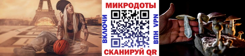 Галлюциногенные грибы Psilocybine cubensis  Слюдянка 