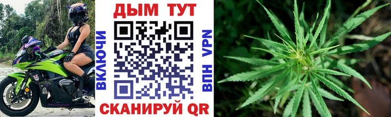 Каннабис SATIVA & INDICA  как найти закладки  Слюдянка 